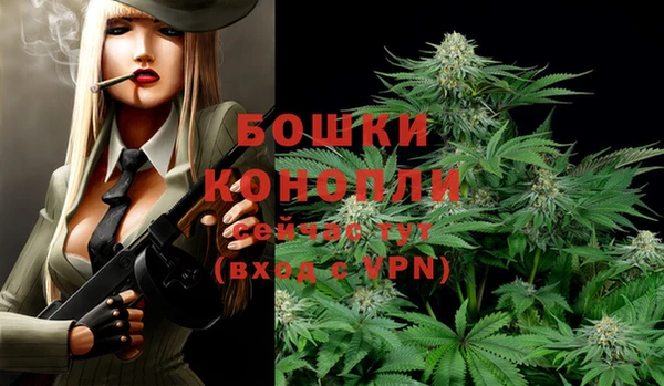 первитин Белоозёрский