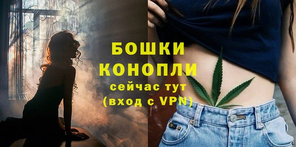молекула духа Белокуриха