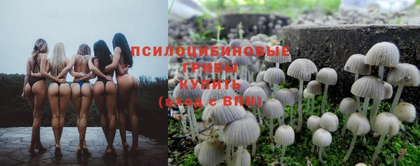 молекула духа Белокуриха