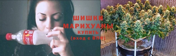 молекула духа Белокуриха