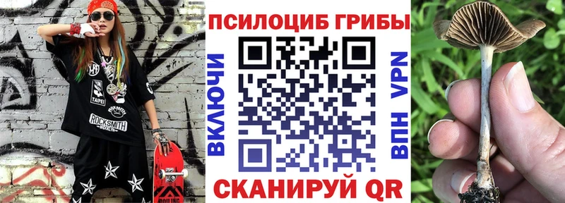 Галлюциногенные грибы Psilocybine cubensis  дарк нет формула  Щигры 